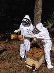 beekeepers-suit