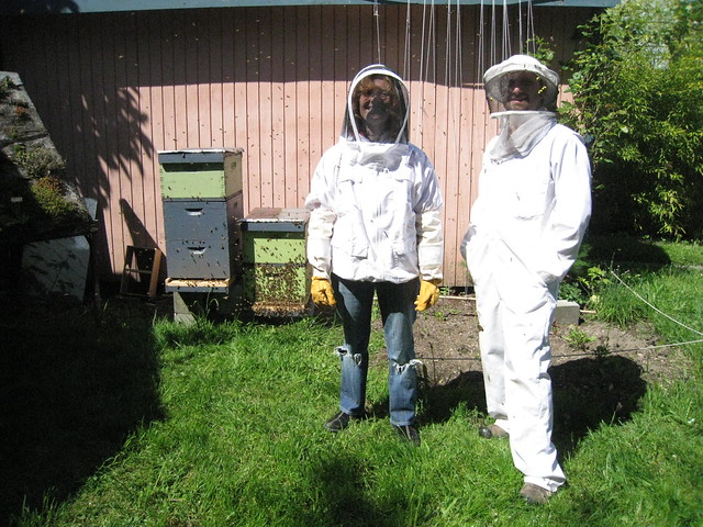 backyard_beekeeping