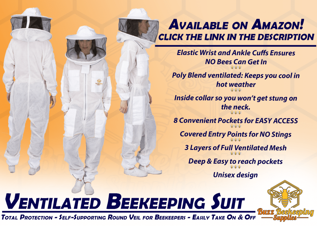 Backyard Beekeeping Guide Buzz Beekeeping Supplies