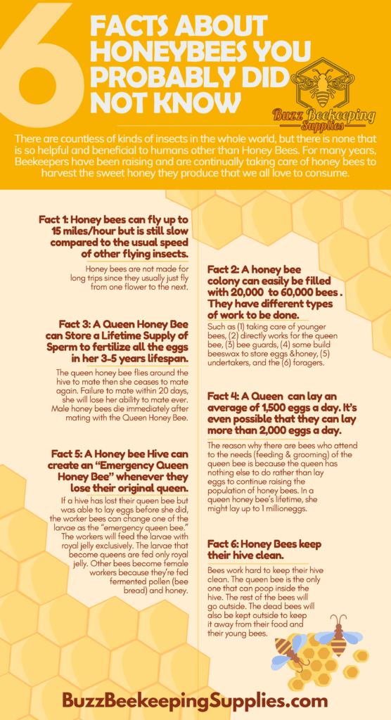 Facts About Honey Bees You Probably Didn't Know
