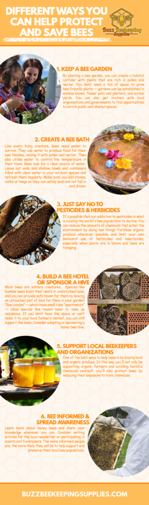 Different Ways You Can Help Protect and Save Bees