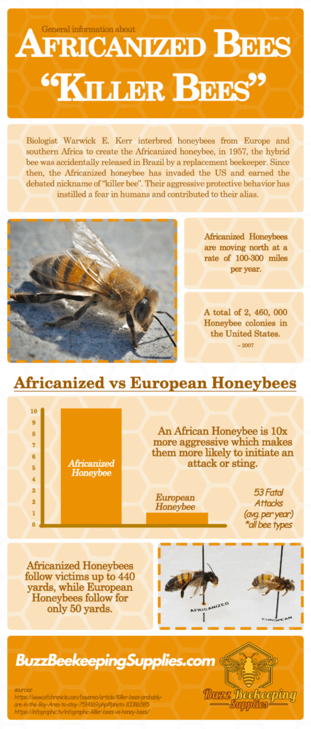 Africanized Bees "Killer Bees"