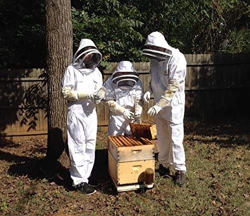 Beekeeping Suit When Worn 3