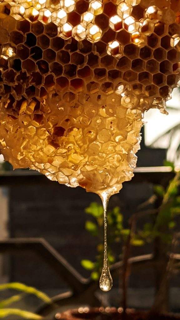 Selling Your Honey Locally