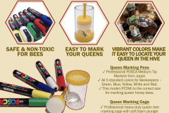 Queen-Bee-Marking-Kit