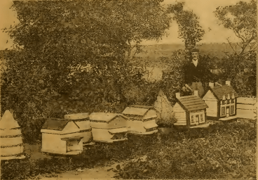 Raising Honey Bees
