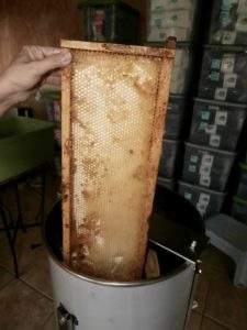 honey bee extractor