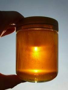 honey-the-ultimate-survival-food