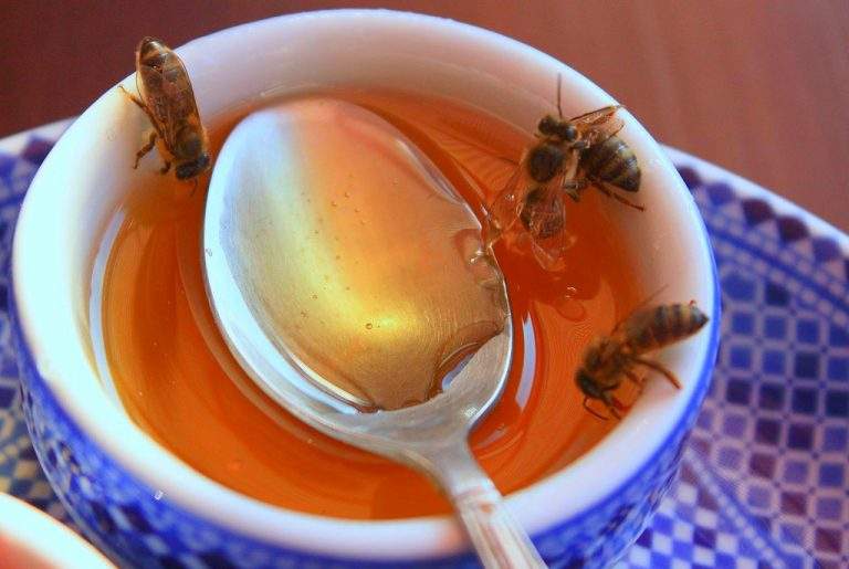 Honey-for-Allergies