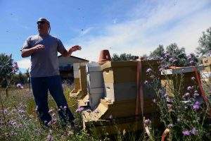 beginning_beekeeping