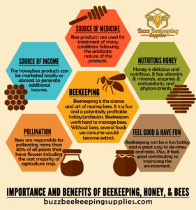 Importance and Benefits of Beekeeping, Honey, and Bees