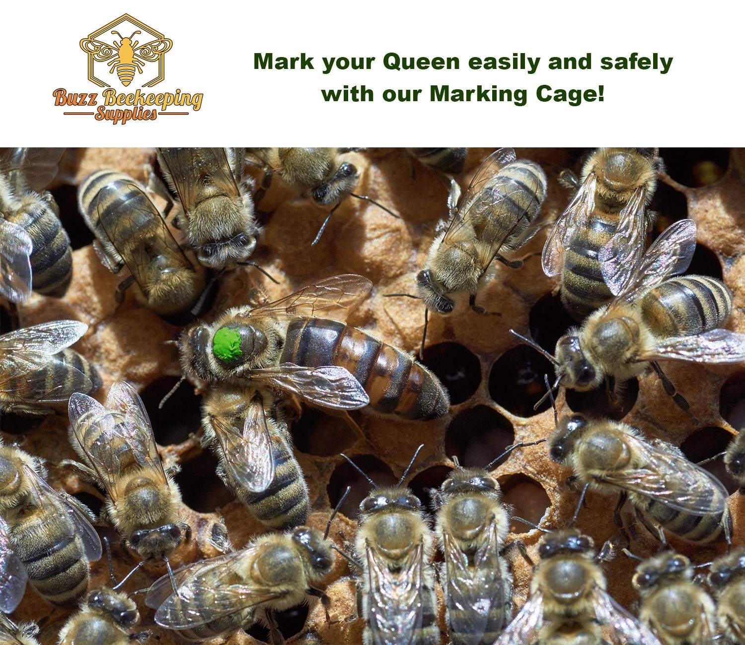 POSCA Queen Bee Marking Marker Pen White/Yellow/Green/Blue Beekeeping