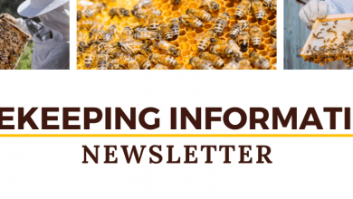 Beekeeping Information Newsletter Header (1)