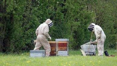 Beekeeping Supplies Vermont