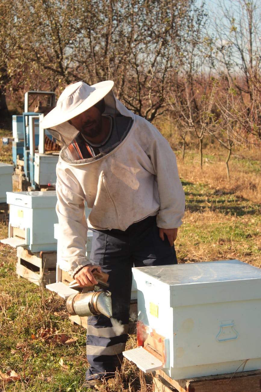 a beekeeper standing by a bee hive