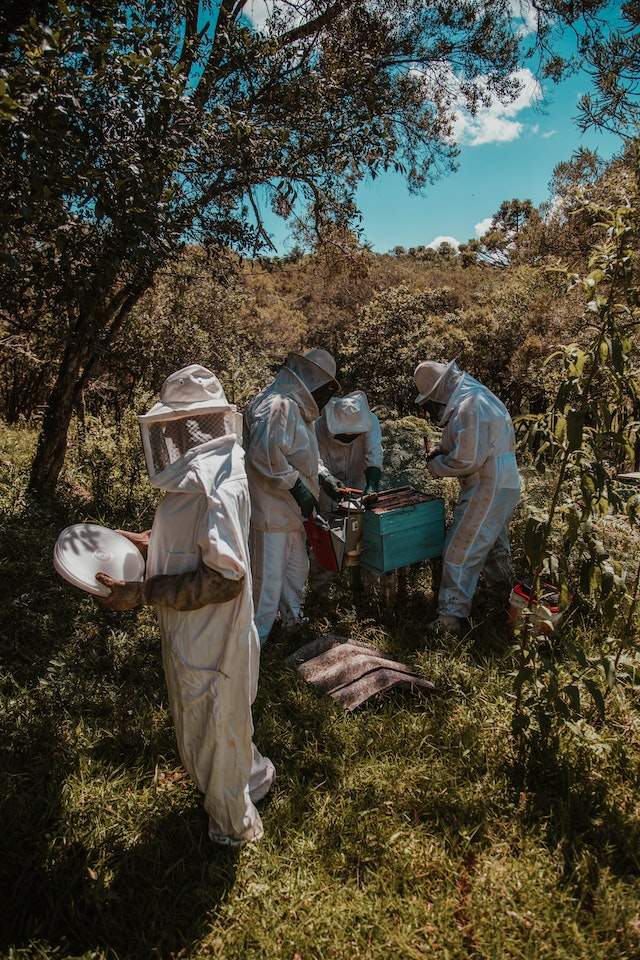 vermont beekeeping supply