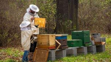 beekeeping pennsylvania