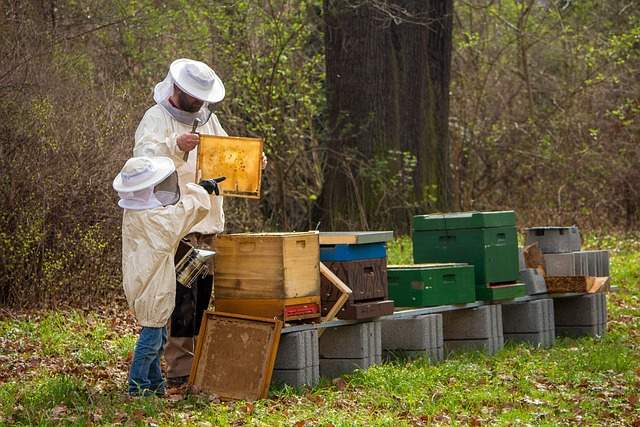 beekeeping pennsylvania