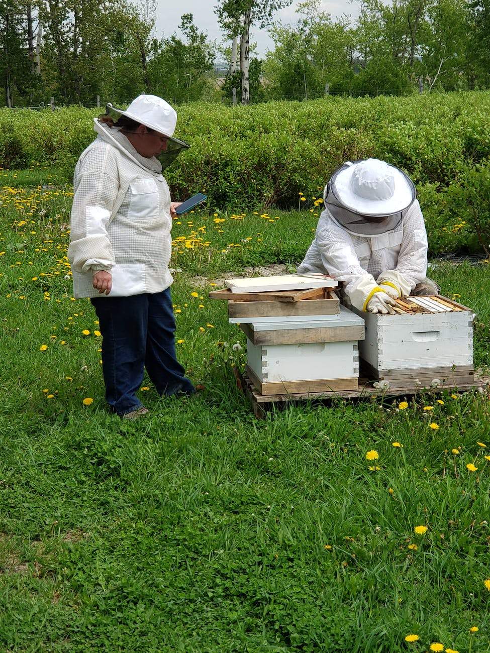 pennsylvania beekeepers
