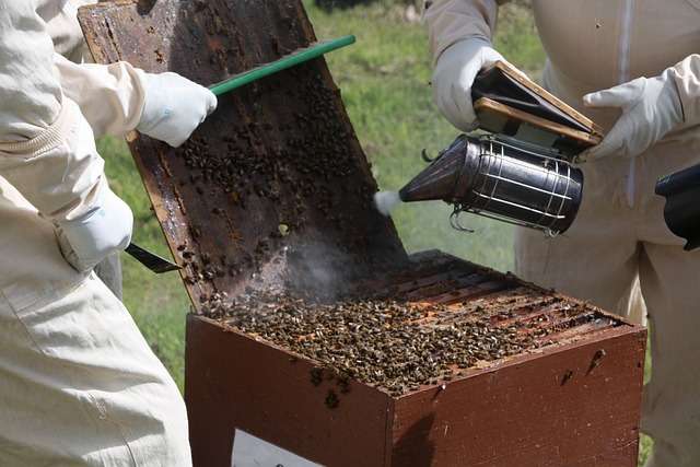 beginning beekeeping supplies