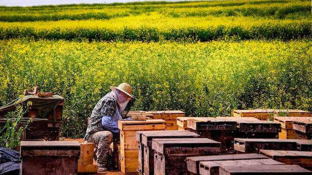 Beekeeping Supplies North Dakota