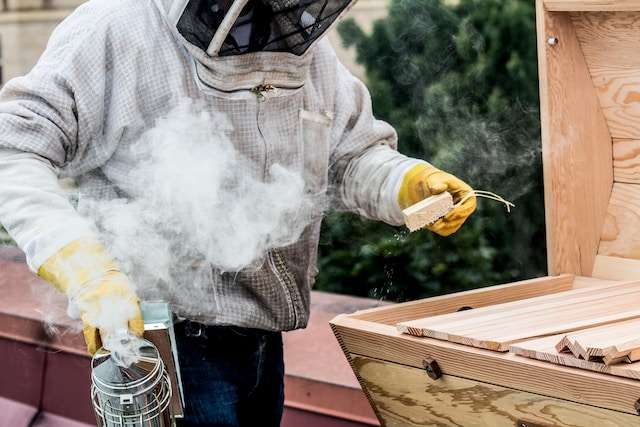 beekeeping supplies in New York