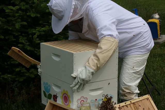 cleaning a bee suit