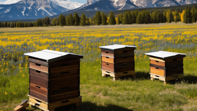 beekeeping supplies Cheyenne