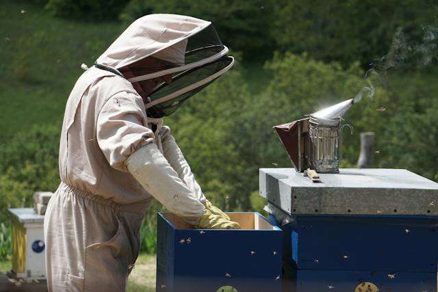 beekeeper supplies Tennessee