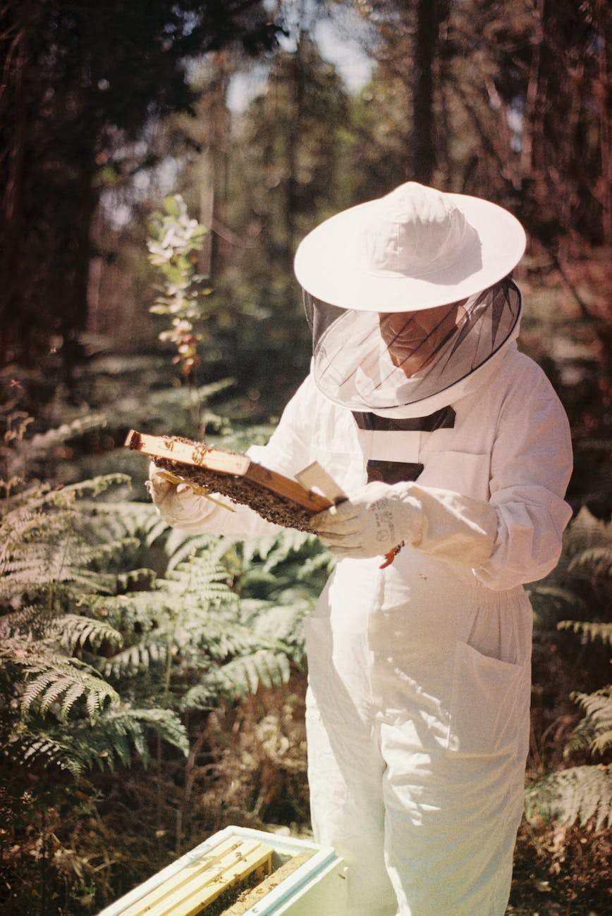 beekeeper working in an apiary