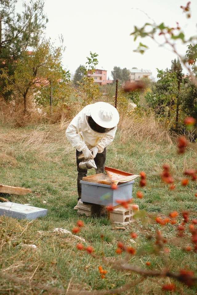 beekeeping supplies in Beekeeping Supplies Beekeeping Supplies Illinois
