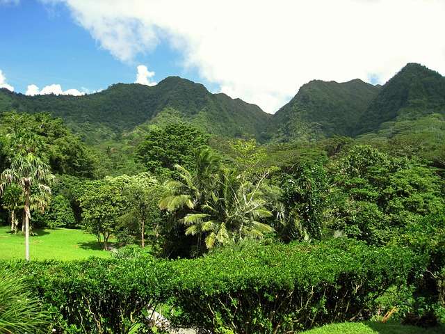 Beekeeping Supplies Beekeeping Supplies Hawaii