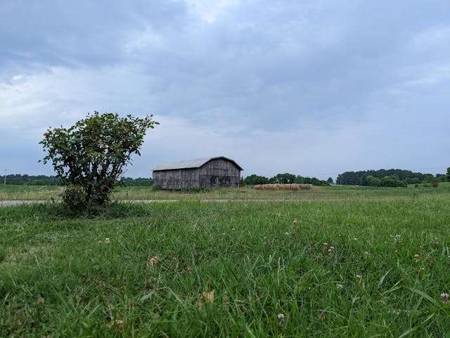 beekeeping supplies in Beekeeping Supplies Kentucky