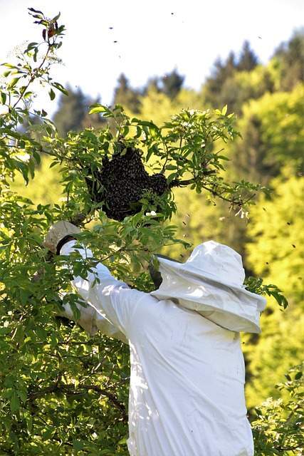 beekeeper supplies Beekeeping Supplies West Virginia